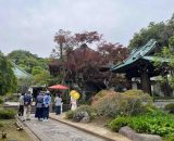 GWイベント第二弾！ロングウォーキングで、鎌倉の「海蔵寺」をみんなで訪れました！
