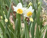 今日は大船栄光学園の近くにある公園に行ってみました♪